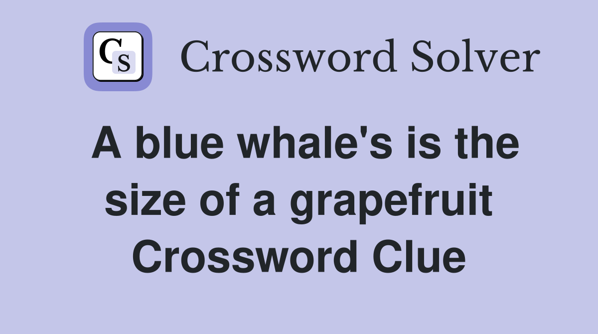 A blue whale's is the size of a grapefruit Crossword Clue
