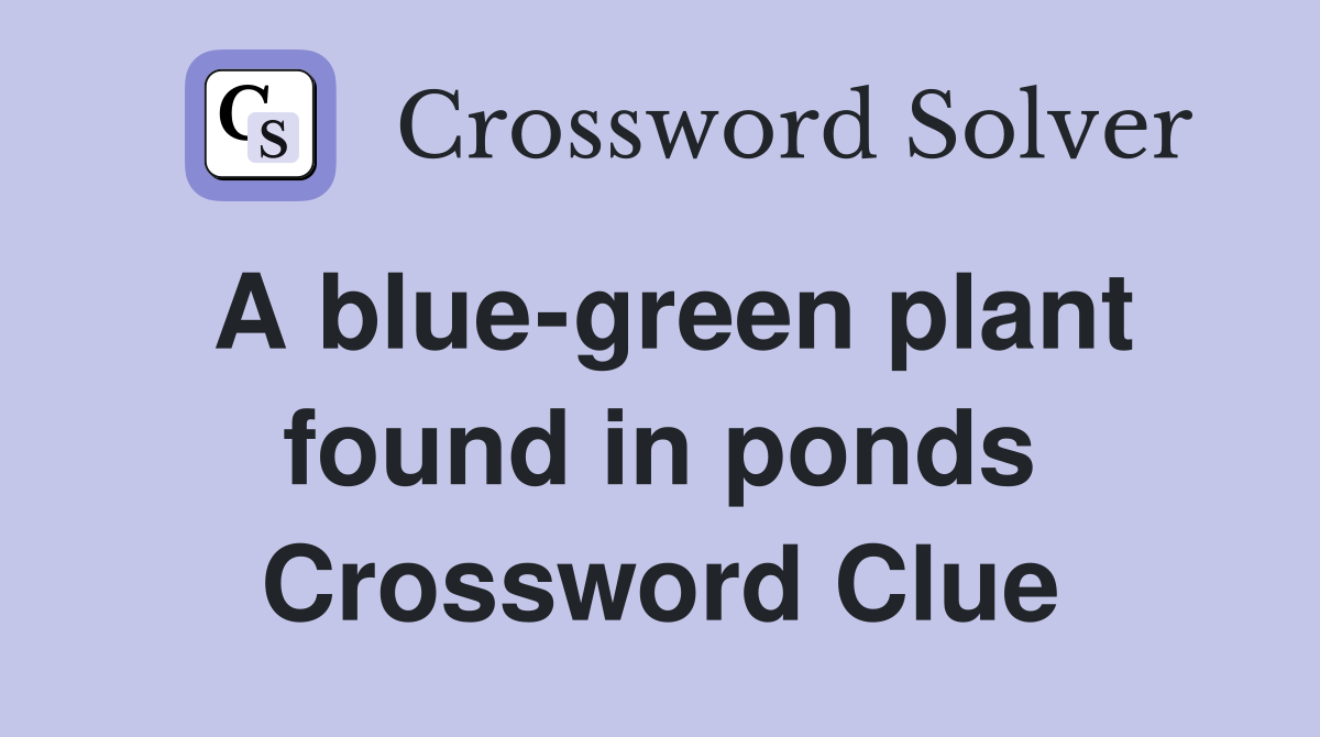 A blue-green plant found in ponds Crossword Clue