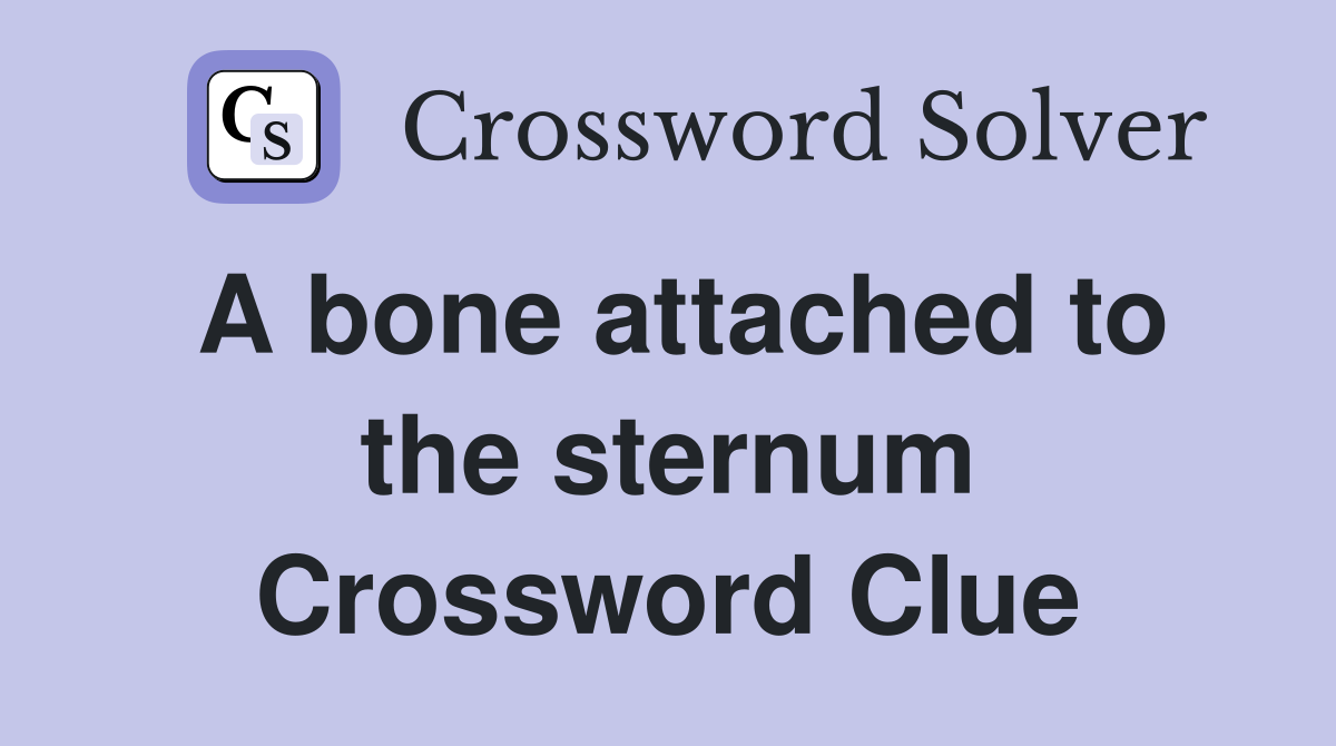 A bone attached to the sternum Crossword Clue