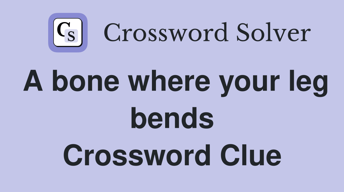A bone where your leg bends Crossword Clue
