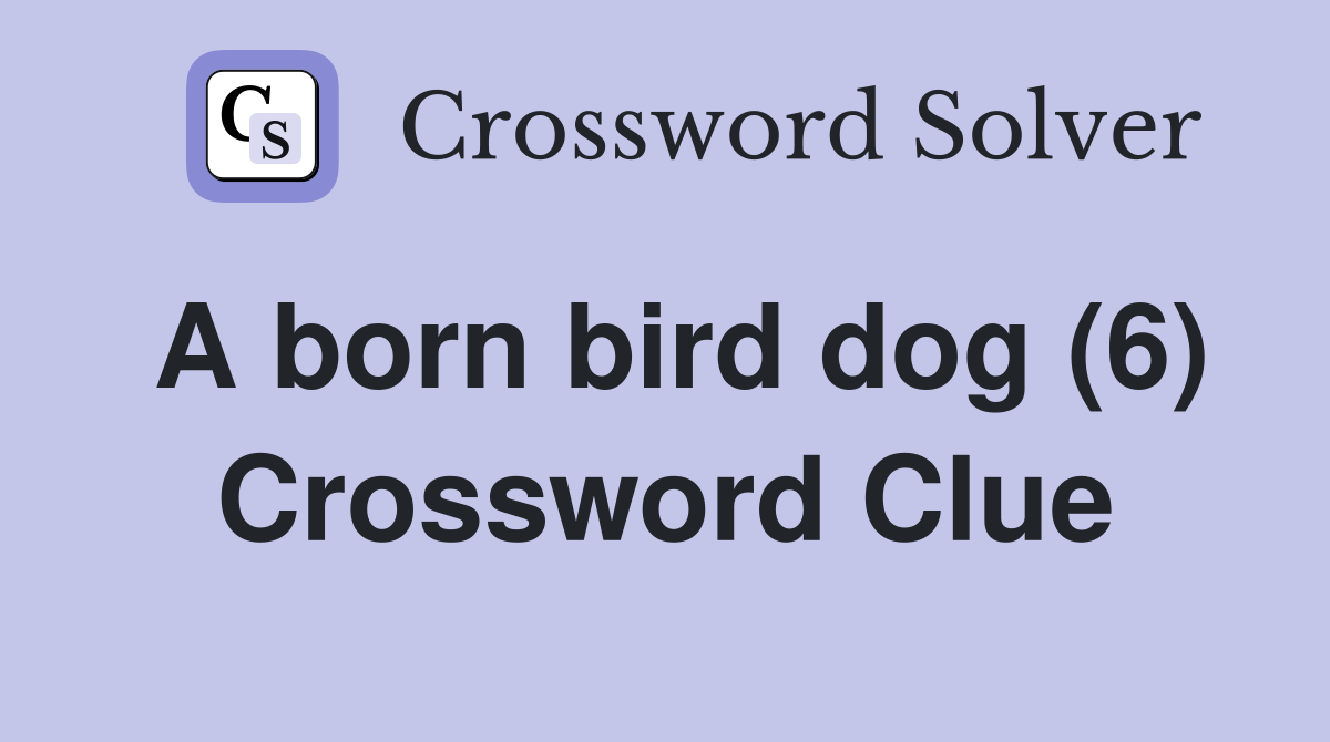 A born bird dog (6) Crossword Clue