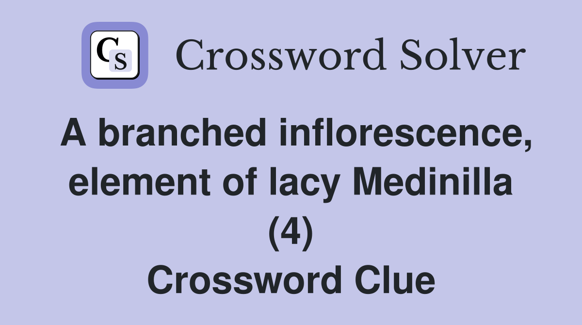 A branched inflorescence, element of lacy Medinilla (4) Crossword Clue