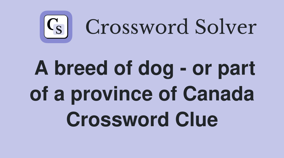 A breed of dog - or part of a province of Canada Crossword Clue