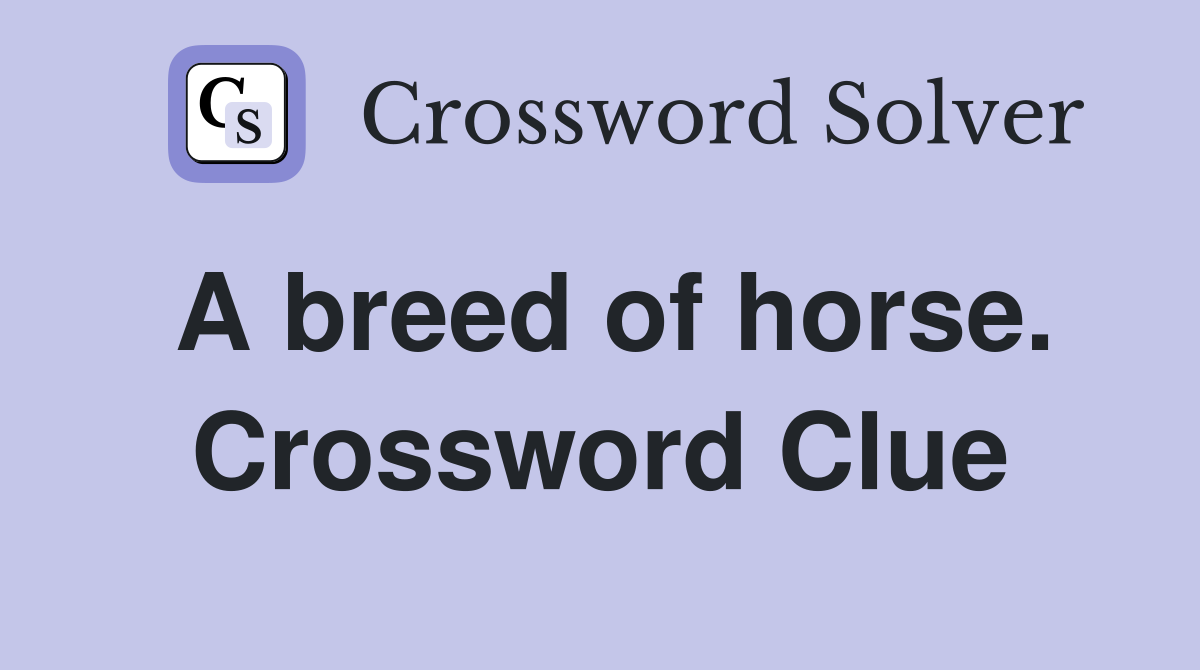 A breed of horse. Crossword Clue