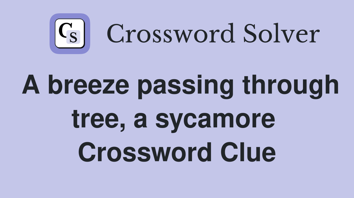 A breeze passing through tree, a sycamore  Crossword Clue