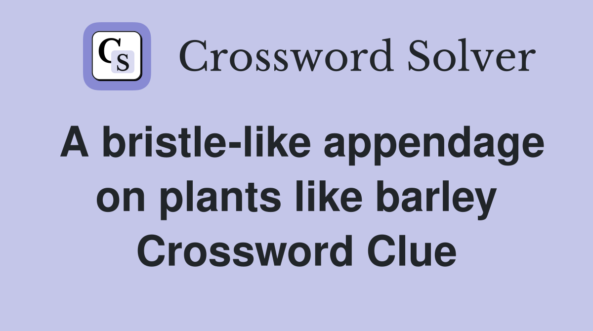 A bristle-like appendage on plants like barley Crossword Clue