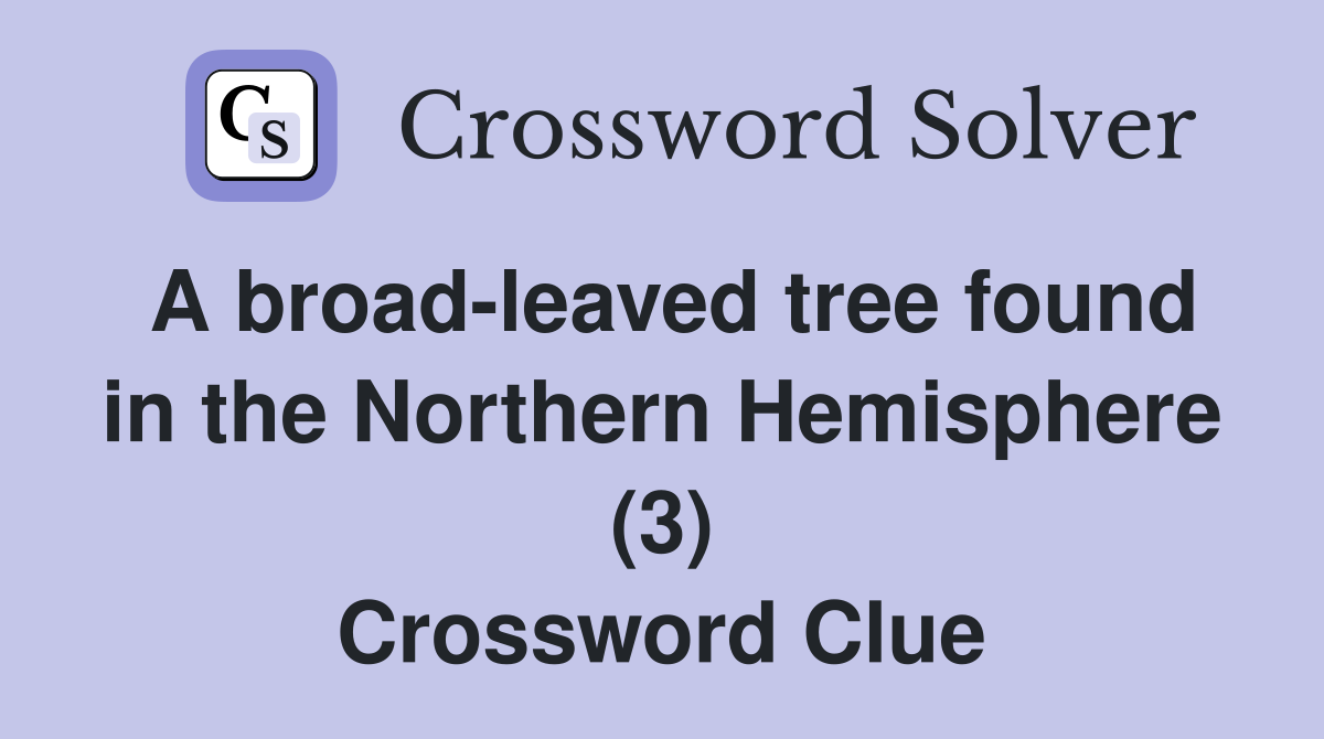 A broad-leaved tree found in the Northern Hemisphere (3) Crossword Clue