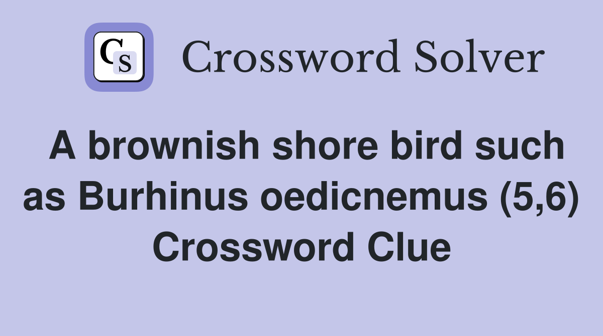 A brownish shore bird such as Burhinus oedicnemus (5,6) Crossword Clue