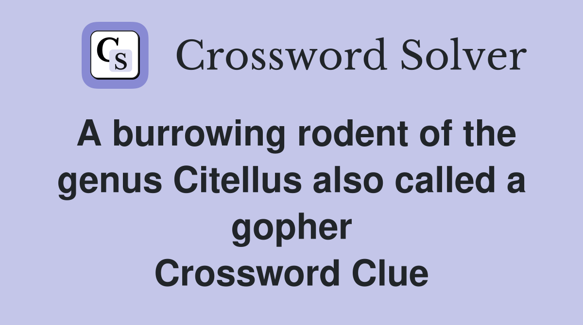 A burrowing rodent of the genus Citellus also called a gopher Crossword Clue