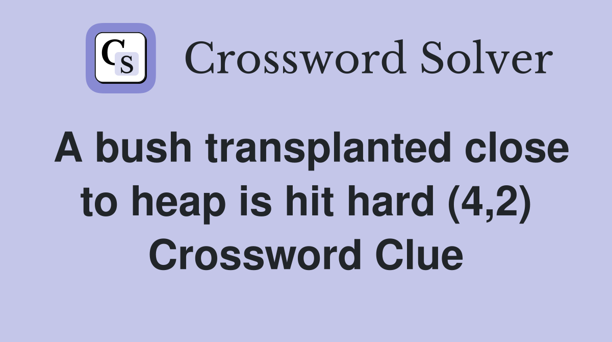 A bush transplanted close to heap is hit hard (4,2) Crossword Clue