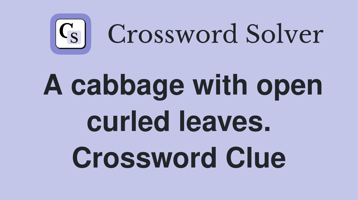 A cabbage with open curled leaves. Crossword Clue