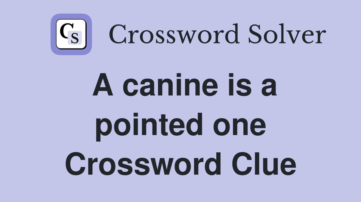 A canine is a pointed one Crossword Clue
