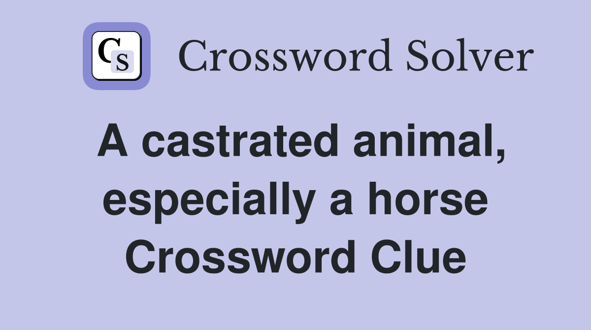 A castrated animal, especially a horse Crossword Clue