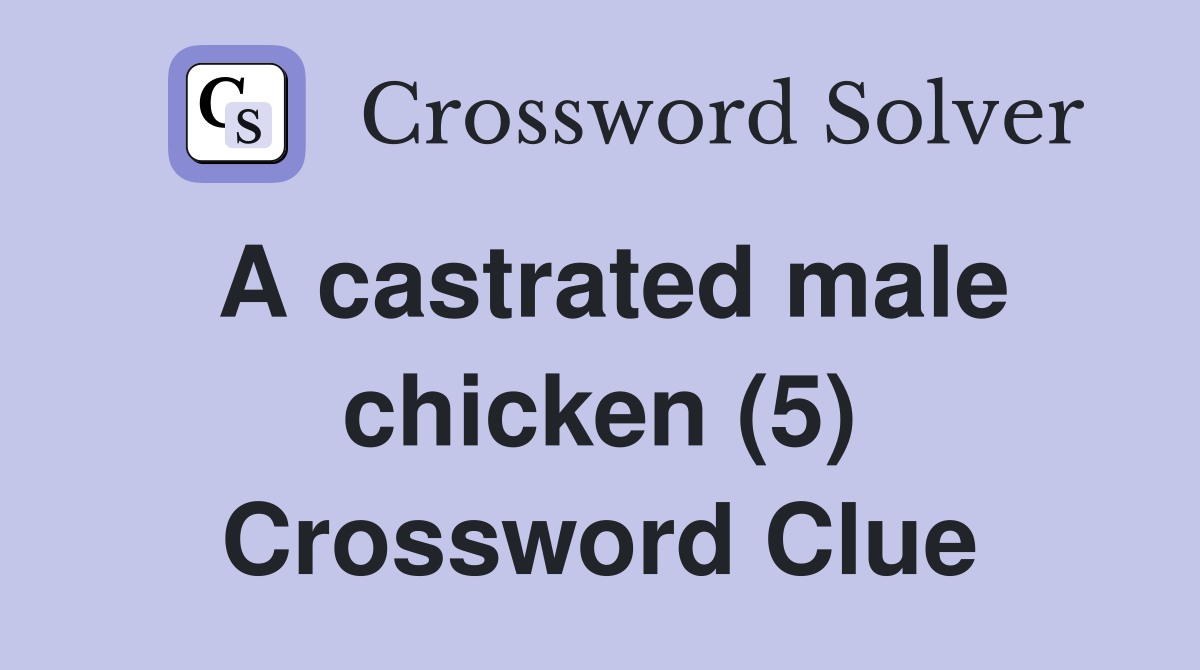A castrated male chicken (5) Crossword Clue