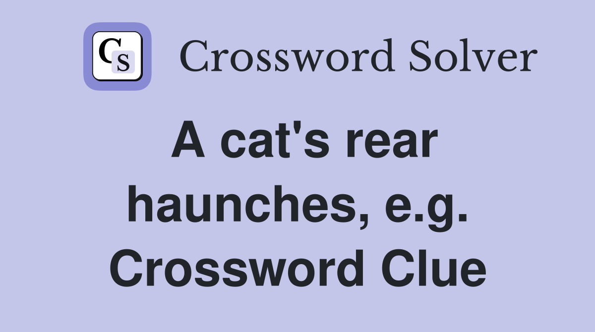 A cat's rear haunches, e.g. Crossword Clue
