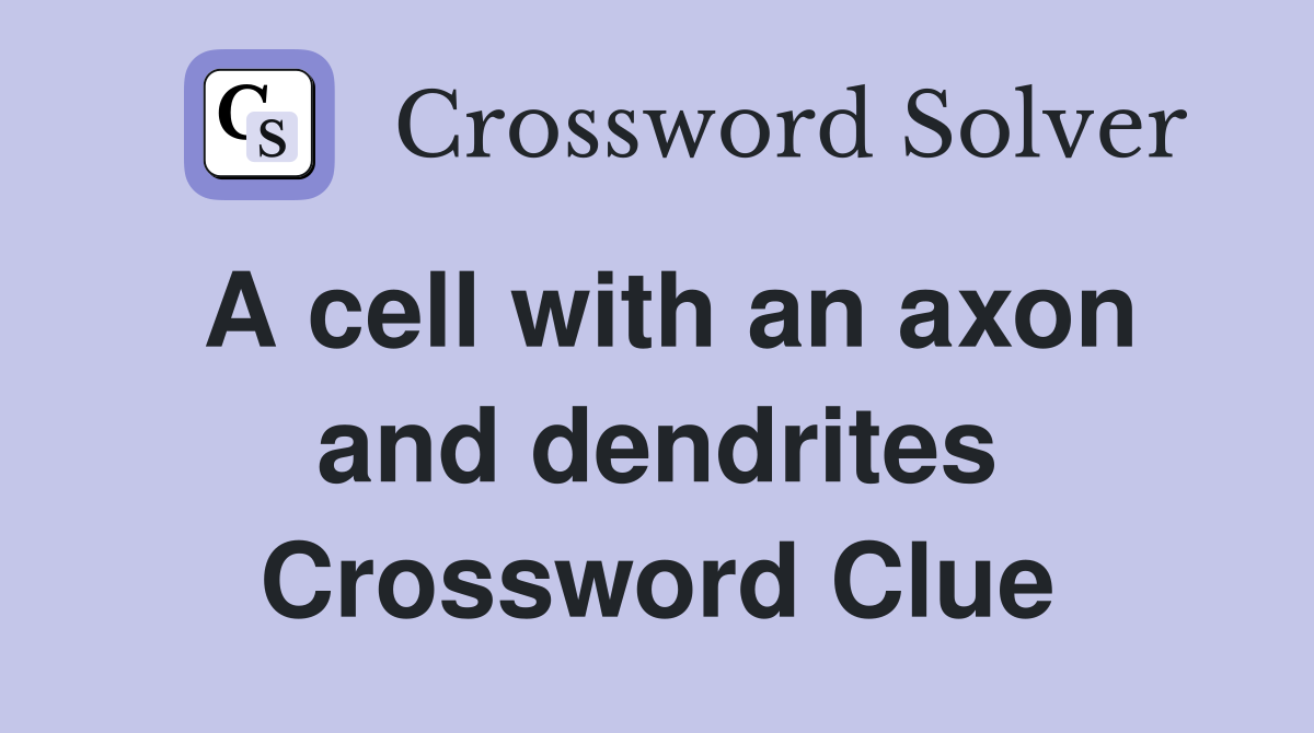 A cell with an axon and dendrites Crossword Clue