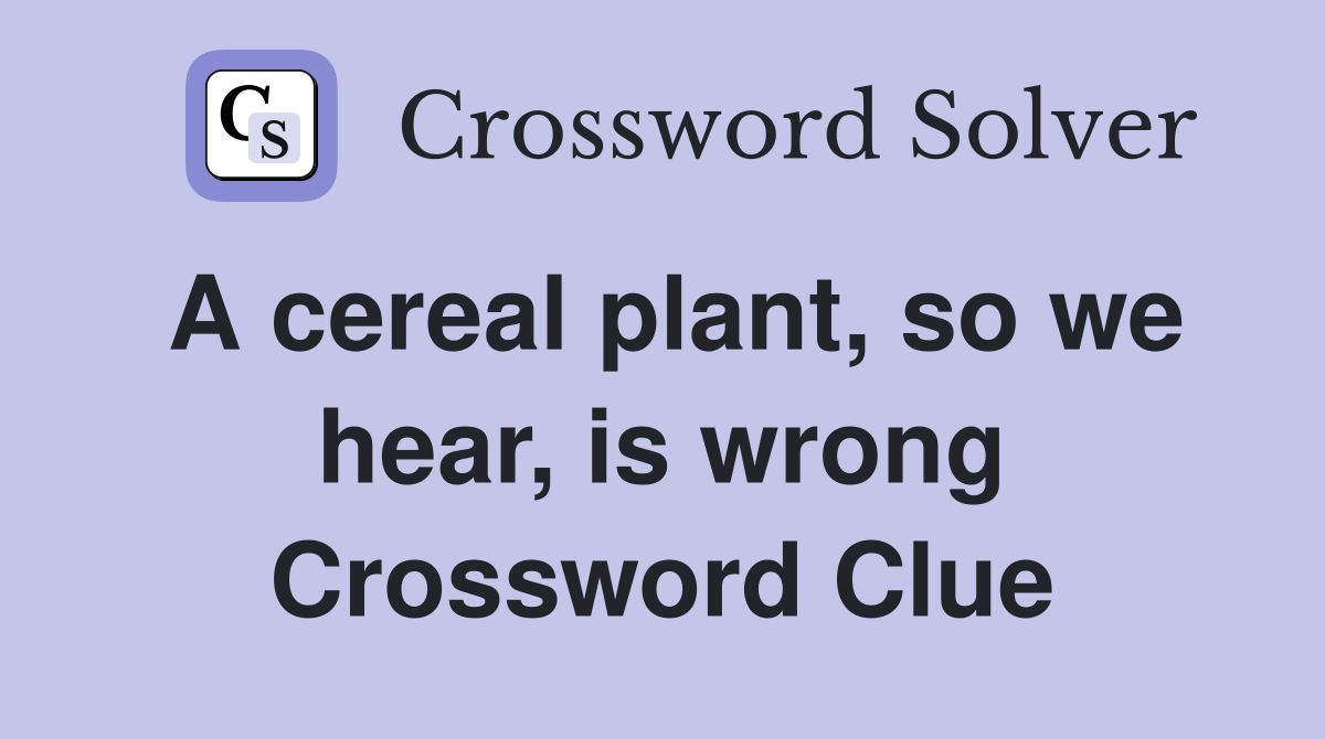 A cereal plant, so we hear, is wrong Crossword Clue