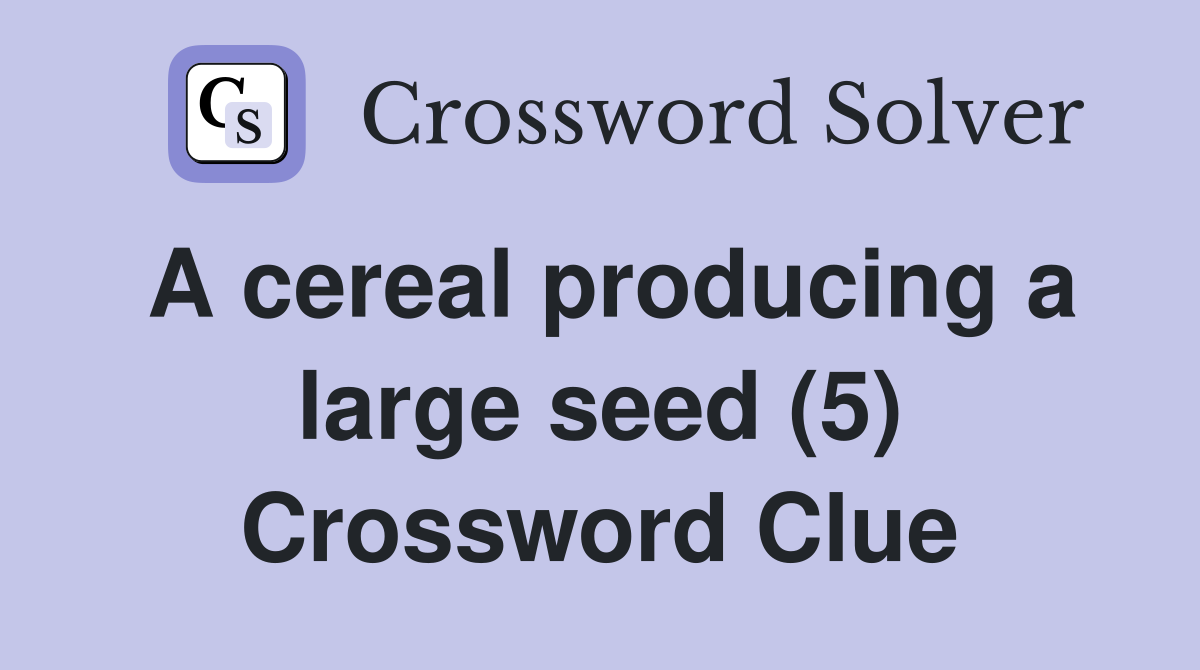 A cereal producing a large seed (5) Crossword Clue