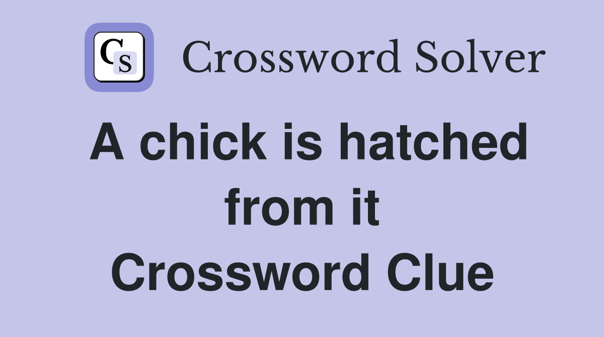 A chick is hatched from it Crossword Clue
