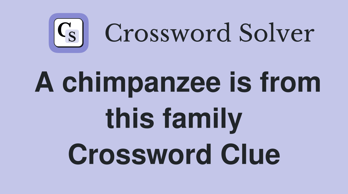 A chimpanzee is from this family Crossword Clue