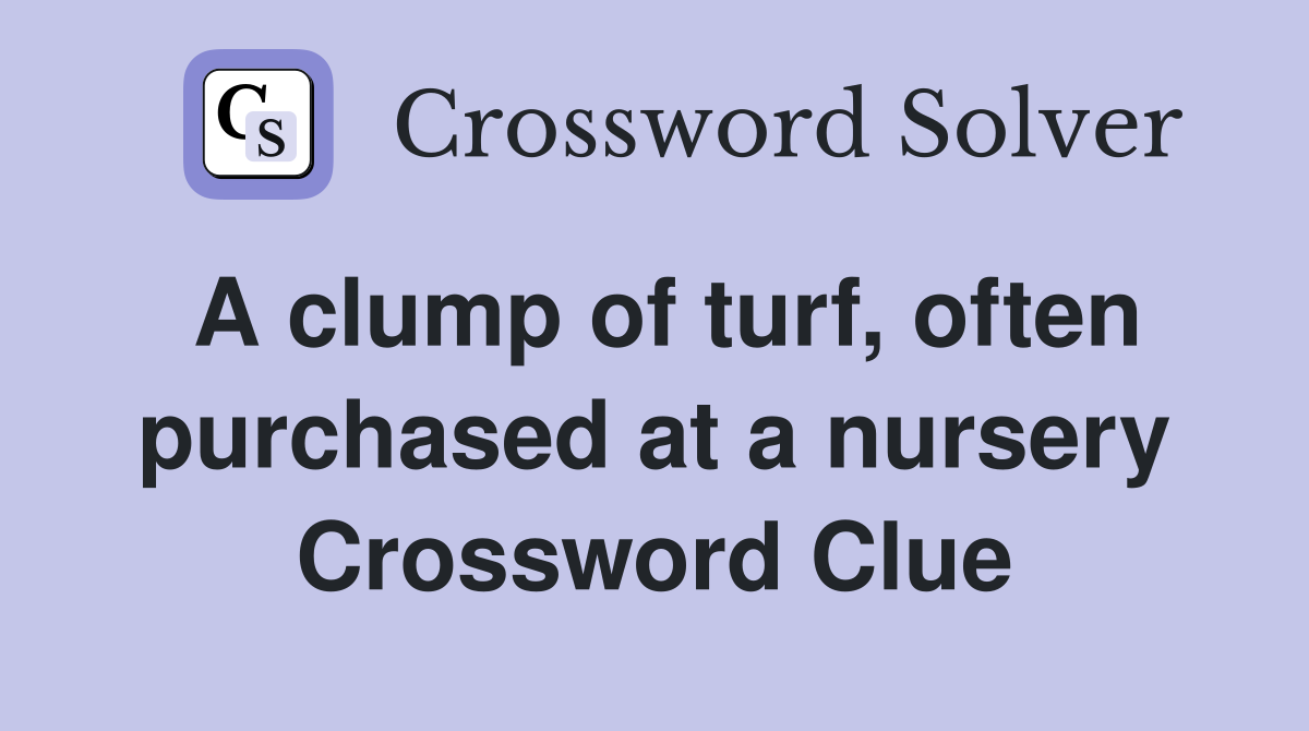 A clump of turf, often purchased at a nursery Crossword Clue
