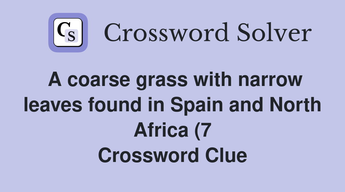 A coarse grass with narrow leaves found in Spain and North Africa (7 A coarse grass with narrow leaves found in Spain and North Africa (7