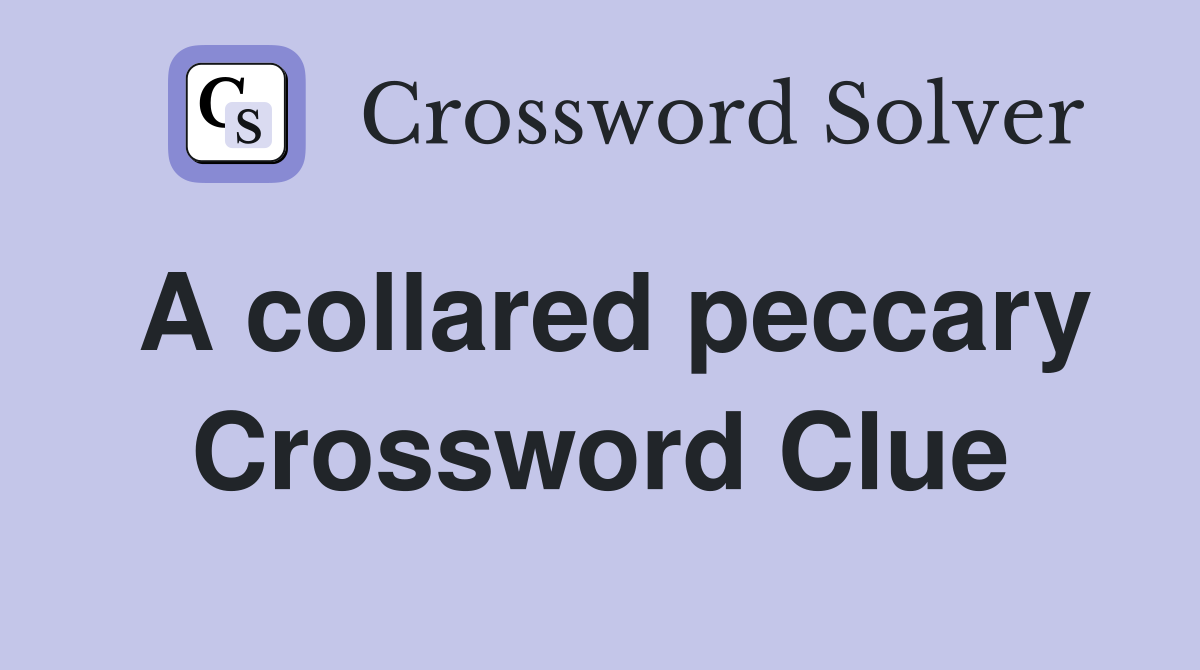 A collared peccary Crossword Clue