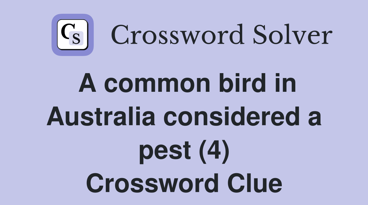 A common bird in Australia considered a pest (4) Crossword Clue