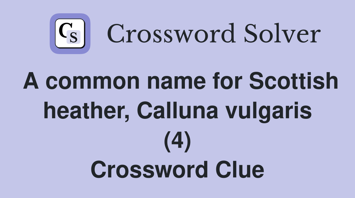 A common name for Scottish heather, Calluna vulgaris (4) Crossword Clue