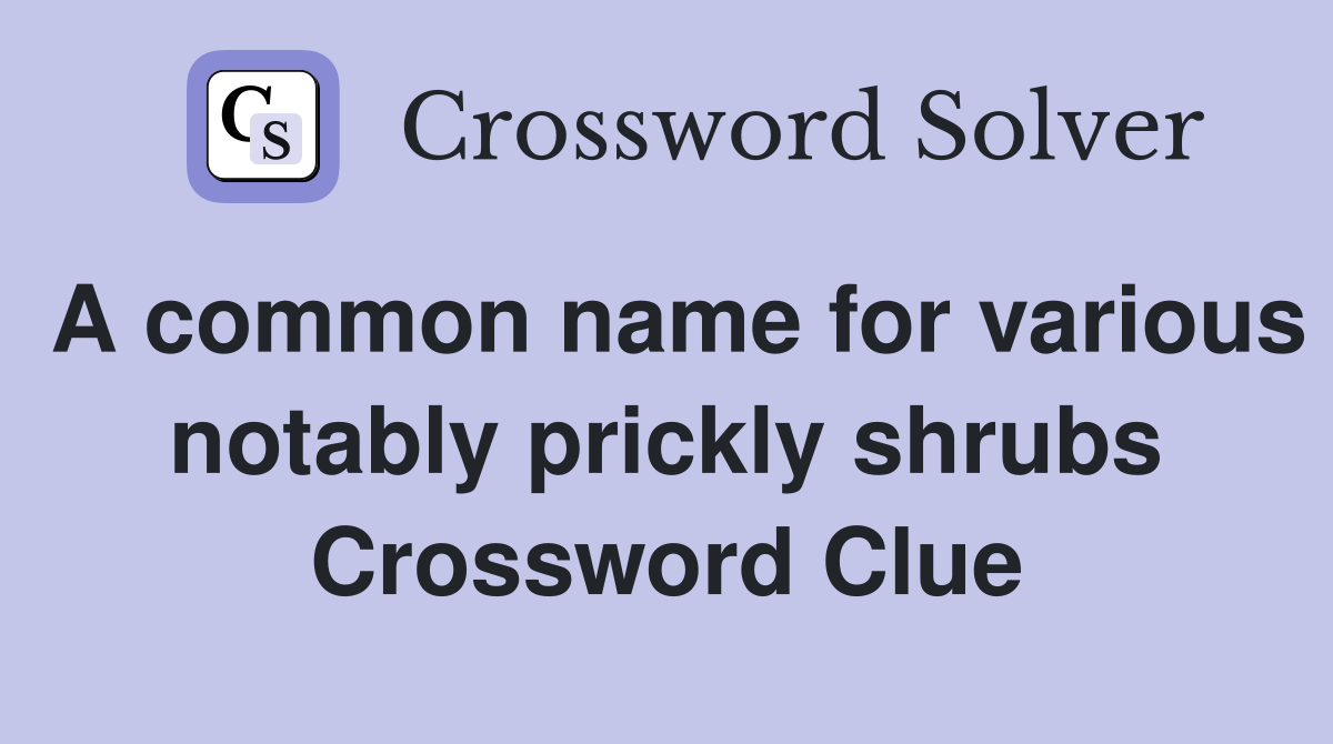 A common name for various notably prickly shrubs Crossword Clue