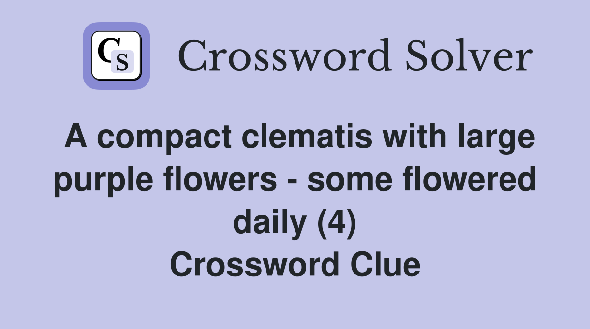 A compact clematis with large purple flowers - some flowered daily (4) Crossword Clue