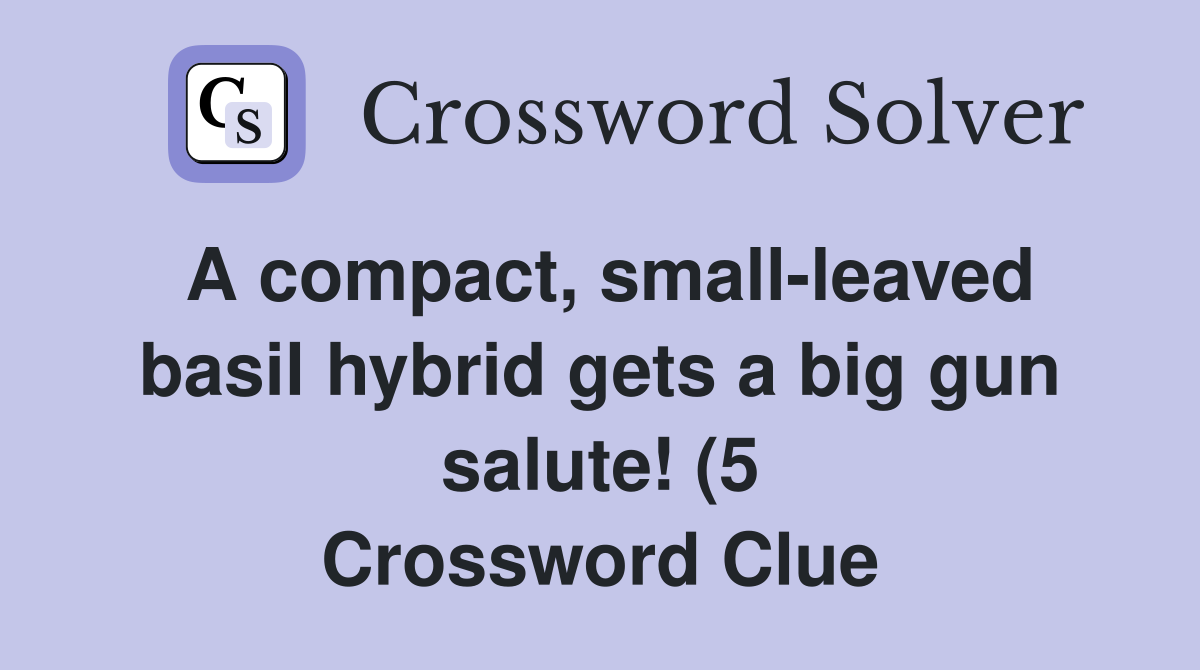 A compact small leaved basil hybrid gets a big gun salute (5 A compact small leaved basil hybrid gets a big gun salute (5
