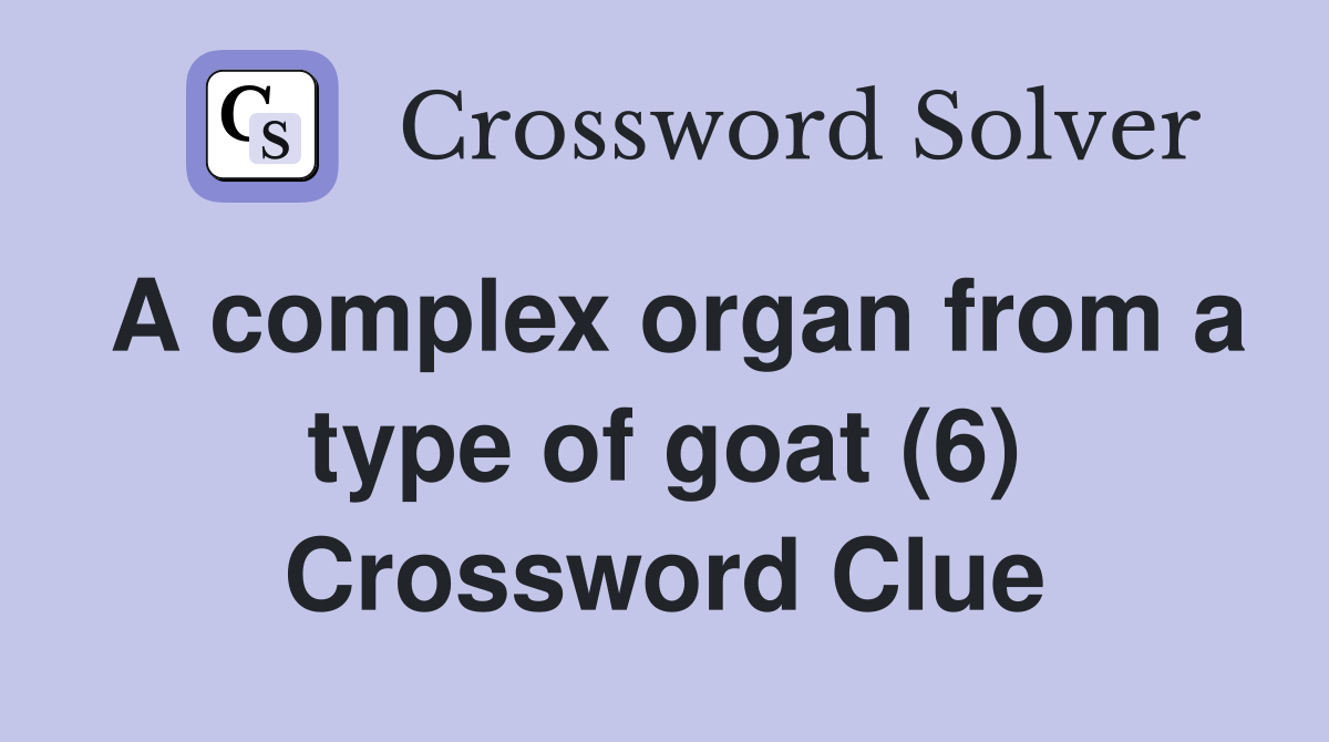 A complex organ from a type of goat (6) Crossword Clue