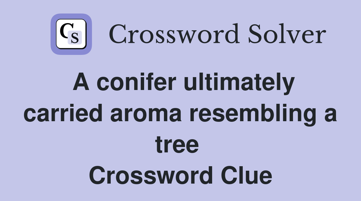 A conifer ultimately carried aroma resembling a tree  Crossword Clue