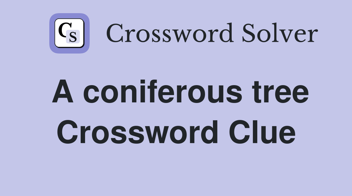 A coniferous tree Crossword Clue