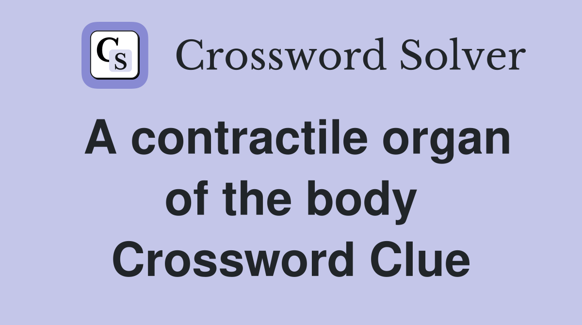 A contractile organ of the body Crossword Clue
