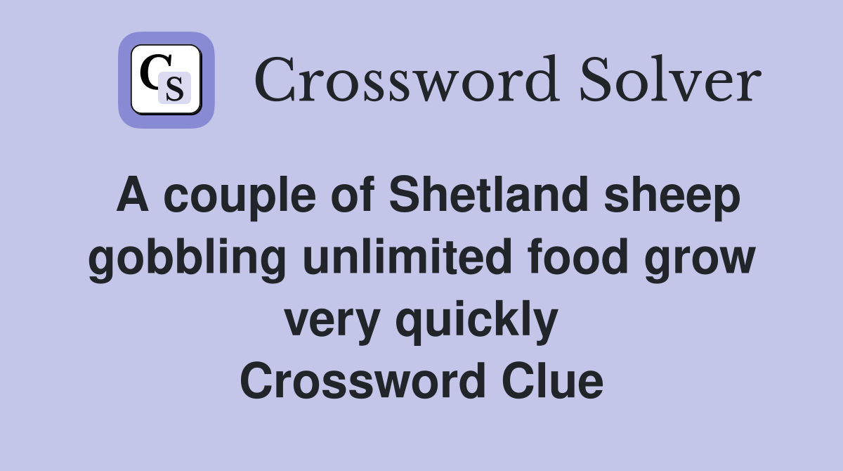 A couple of Shetland sheep gobbling unlimited food grow very quickly Crossword Clue