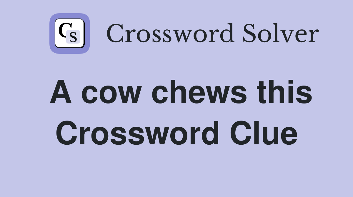 A cow chews this Crossword Clue