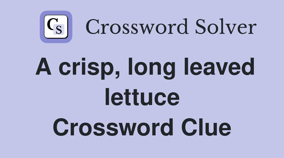 A crisp, long leaved lettuce Crossword Clue