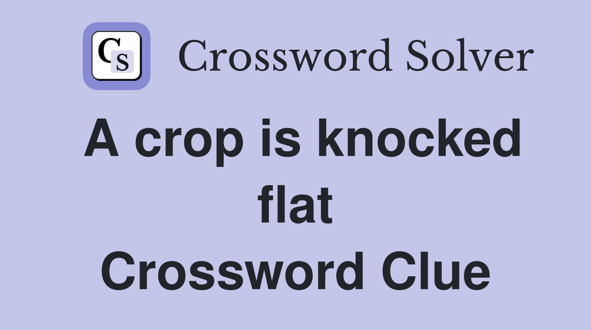 A crop is knocked flat Crossword Clue