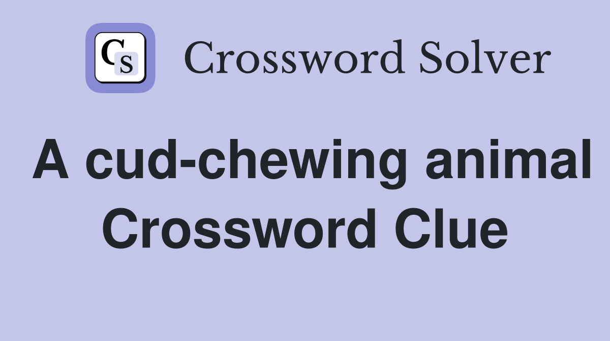 A cud-chewing animal Crossword Clue