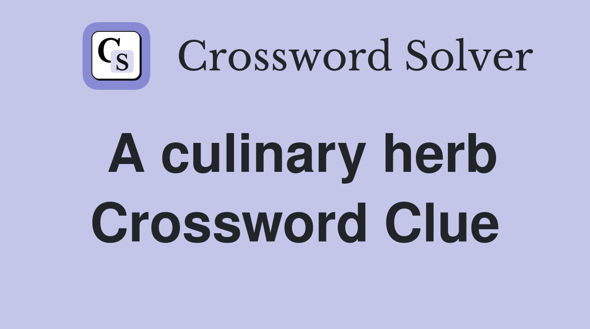 A culinary herb Crossword Clue