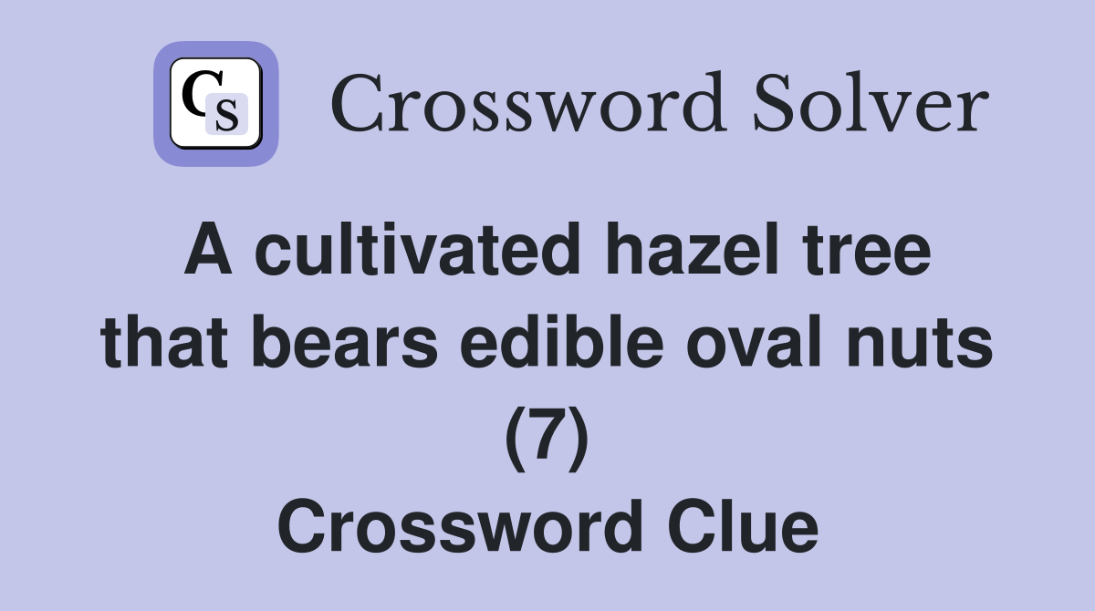 A cultivated hazel tree that bears edible oval nuts (7) Crossword Clue