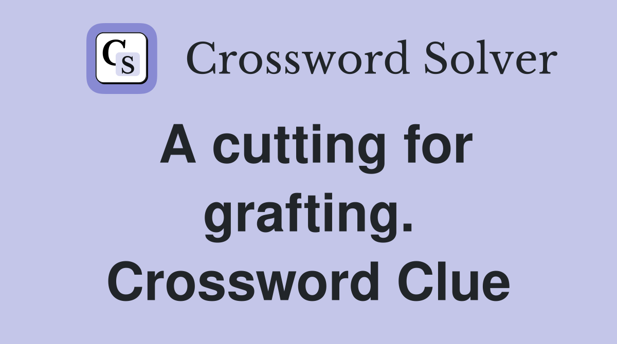 A cutting for grafting. Crossword Clue