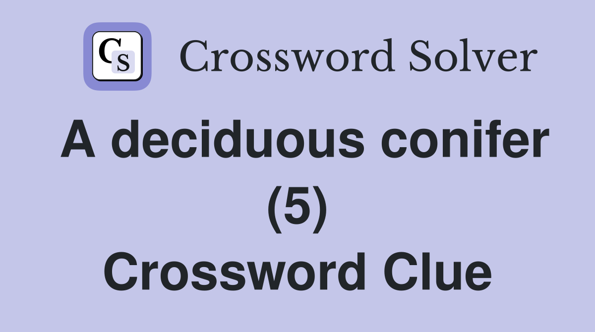 A deciduous conifer (5) Crossword Clue