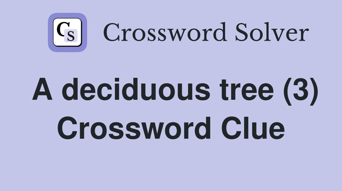A deciduous tree (3) Crossword Clue