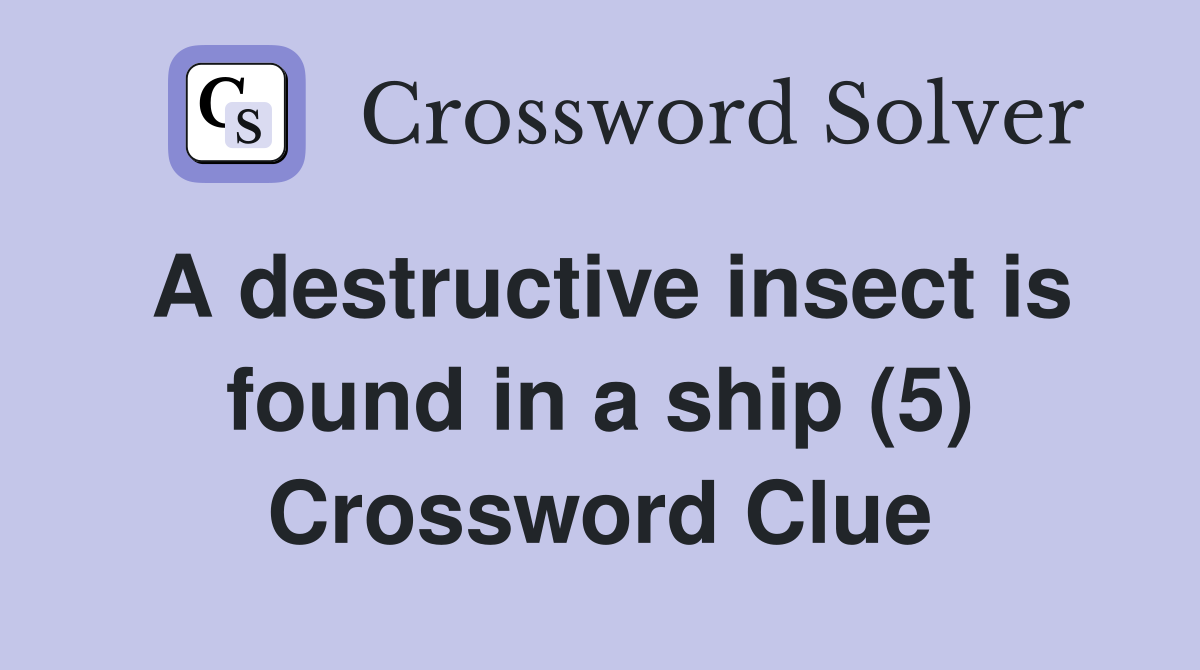 A destructive insect is found in a ship (5) Crossword Clue