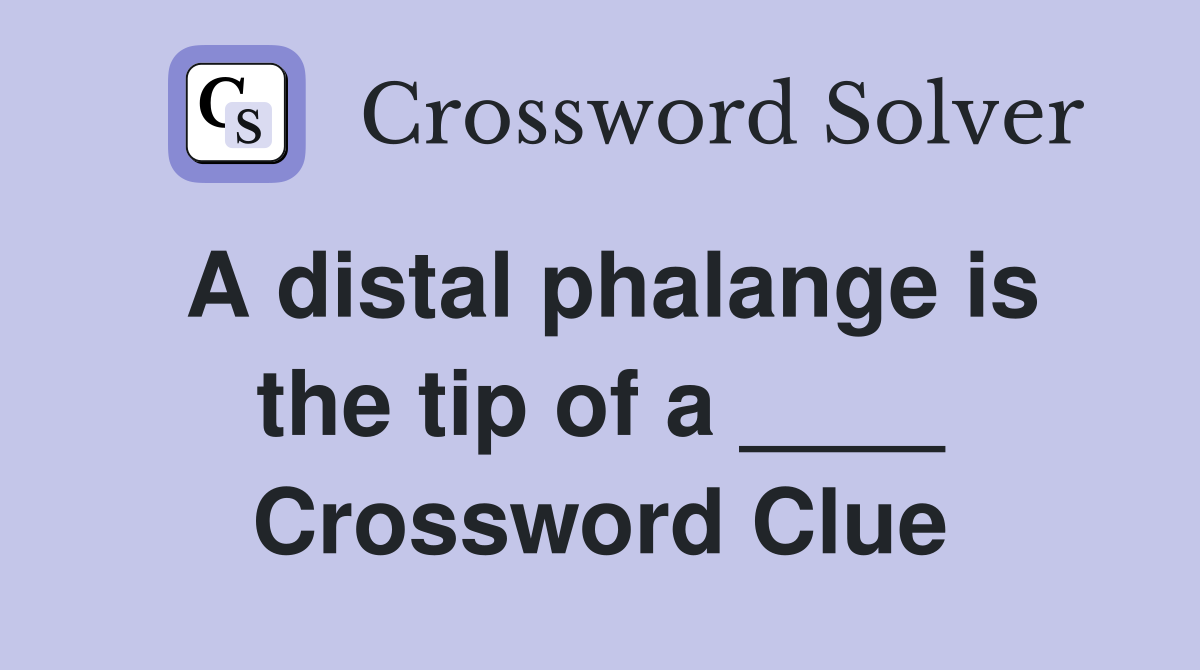 A distal phalange is the tip of a ____ Crossword Clue