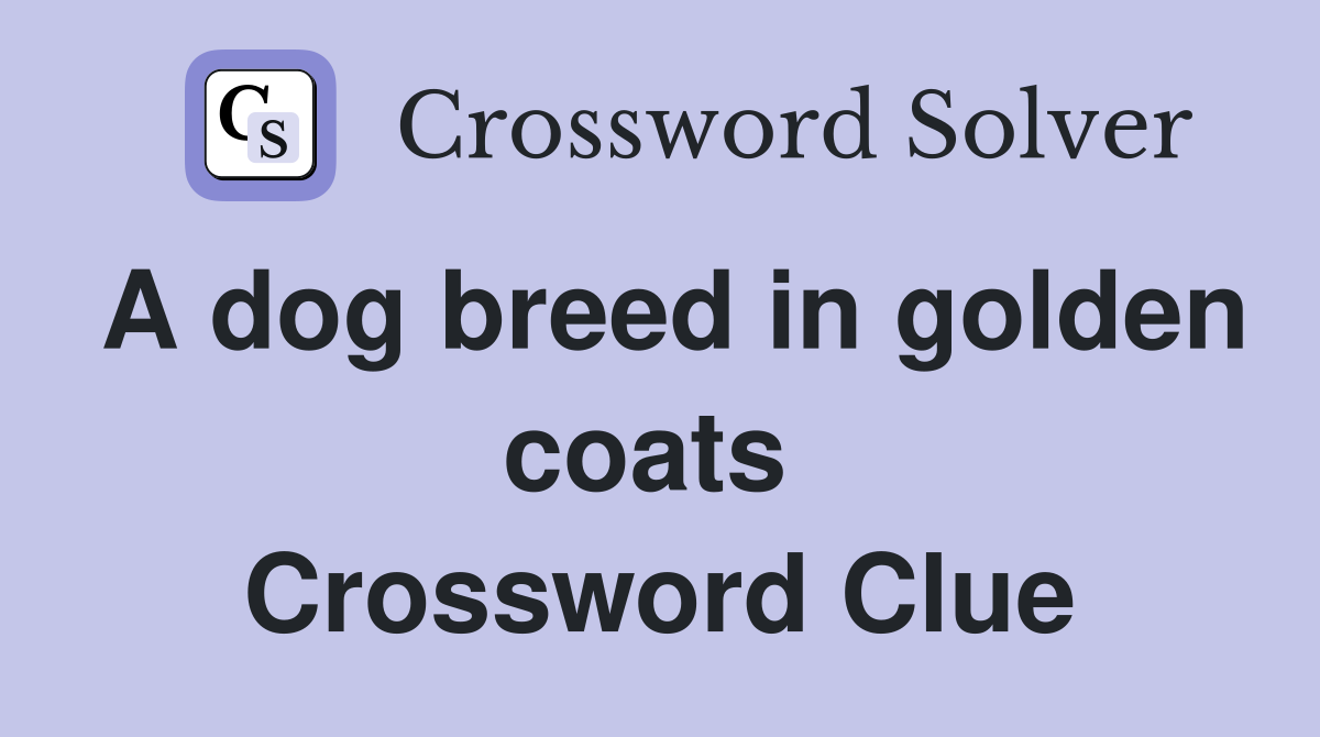 A dog breed in golden coats  Crossword Clue