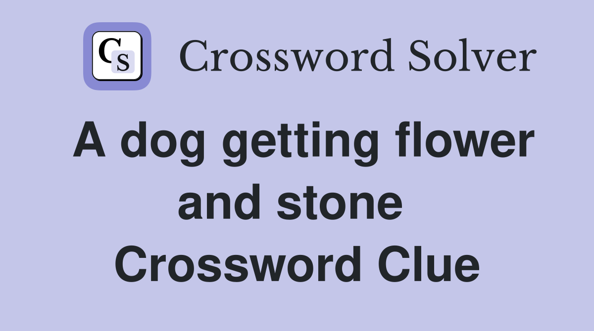 A dog getting flower and stone  Crossword Clue